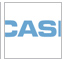 Our Work: Casio
